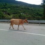 Gruzja / Ludwik Śliwa