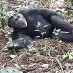 Uganda / Beata Radek