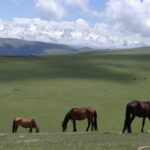 Kirgistan i Tadżykistan / Tomasz Tułak