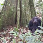 Uganda / Beata Radek