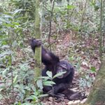 Uganda / Beata Radek