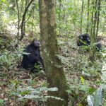 Uganda / Beata Radek