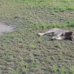 Uganda / Beata Radek