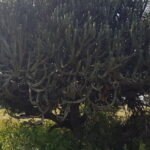 Uganda / Beata Radek