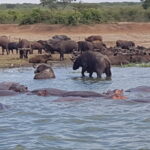 Uganda / Beata Radek