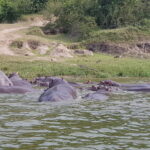 Uganda / Beata Radek