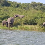 Uganda / Beata Radek