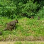 Uganda / Beata Radek