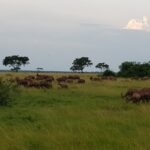 Uganda / Beata Radek