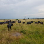 Uganda / Beata Radek