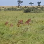 Uganda / Beata Radek