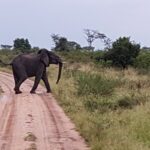 Uganda / Beata Radek