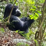 Uganda / Beata Radek