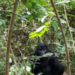 Uganda / Beata Radek