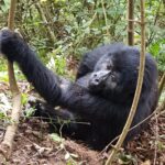 Uganda / Beata Radek