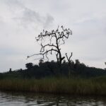 Uganda / Beata Radek