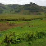 Uganda / Beata Radek