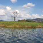 Uganda / Beata Radek