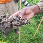 Uganda / Beata Radek