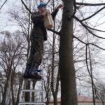 Budka lęgowa zawieszona na terenie z Centrum Przygotowań do Misji Zagranicznych w Kielcach / CPdMZ