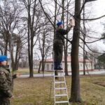 Budka lęgowa zawieszona na terenie z Centrum Przygotowań do Misji Zagranicznych w Kielcach / CPdMZ