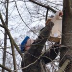 Budka lęgowa zawieszona na terenie z Centrum Przygotowań do Misji Zagranicznych w Kielcach / CPdMZ