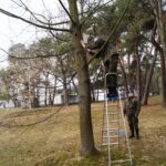 Budka lęgowa zawieszona na terenie z Centrum Przygotowań do Misji Zagranicznych w Kielcach / CPdMZ