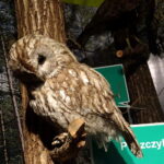 Centrum Edukacji Przyrodniczej w Marculach im. ks. Bp. Jana Chrapka / Anna Głąb / Radio Kielce