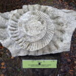 Centrum Edukacji Przyrodniczej w Marculach im. ks. Bp. Jana Chrapka / Anna Głąb / Radio Kielce