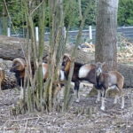 Centrum Edukacji Przyrodniczej w Marculach im. ks. Bp. Jana Chrapka / Anna Głąb / Radio Kielce