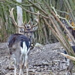 Centrum Edukacji Przyrodniczej w Marculach im. ks. Bp. Jana Chrapka / Anna Głąb / Radio Kielce