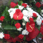 Skarżysko-Kamienna. 79. rocznica mordu na osiedlu Bór / Anna Głąb / Radio Kielce