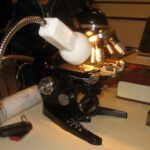 Starachowice. Wystawa "Od papirusu do e-Biblii" / Anna Głąb / Radio Kielce