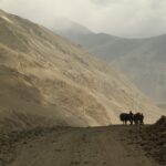 Kirgistan i Tadżykistan / Tomasz Tułak