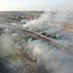 Mnóstwo pożarów traw w regionie. Większość to podpalenia