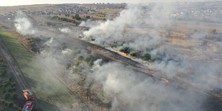 Mnóstwo pożarów traw w regionie. Większość to podpalenia