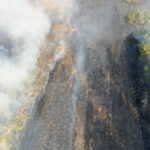 Mójcza. Pożar trawy / Jarosław Kubalski / Radio Kielce