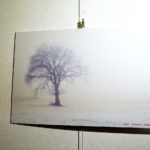 08.02.2019 Kielce. OMPiO. Konferencja na temat nowego cyklu wystaw fotografii. Pierwsza autorstwa Roberta Lubczyńskiego i Sławomira Mazura / Jarosław Kubalski / Radio Kielce