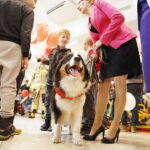 11.02.2019 Kielce. UW. Obchody Europejskiego Dnia Numeru Alarmowego 112 / Jarosław Kubalski / Radio Kielce