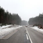 Budowa obwodnicy Sukowa i Daleszyc. Wycinka drzew na terenie, przez który będzie przebiegała droga / Marzena Mąkosa / Radio Kielce