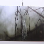 Wystawa "To Tu. Moje Świętokrzyskie". Prace Sławomira Mazura i Roberta Lubczyńskiego / Marzena Mąkosa / Radio Kielce