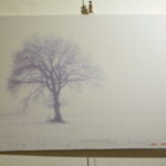 Wystawa "To Tu. Moje Świętokrzyskie". Prace Sławomira Mazura i Roberta Lubczyńskiego / Marzena Mąkosa / Radio Kielce