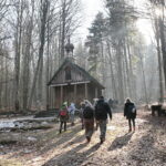 Zimowe wejście na Łysicę / Marzena Mąkosa / Radio Kielce