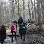 Zimowe wejście na Łysicę / Marzena Mąkosa / Radio Kielce