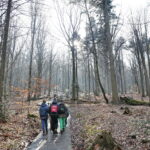 Zimowe wejście na Łysicę / Marzena Mąkosa / Radio Kielce