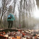 Zimowe wejście na Łysicę / Marzena Mąkosa / Radio Kielce