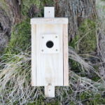 Budki lęgowe dla ptaków / Marzena Mąkosa / Radio Kielce