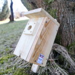 Budki lęgowe dla ptaków / Marzena Mąkosa / Radio Kielce