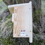 Budki lęgowe dla ptaków / Marzena Mąkosa / Radio Kielce