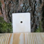 Budki lęgowe dla ptaków / Marzena Mąkosa / Radio Kielce